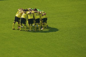 Champion BVB