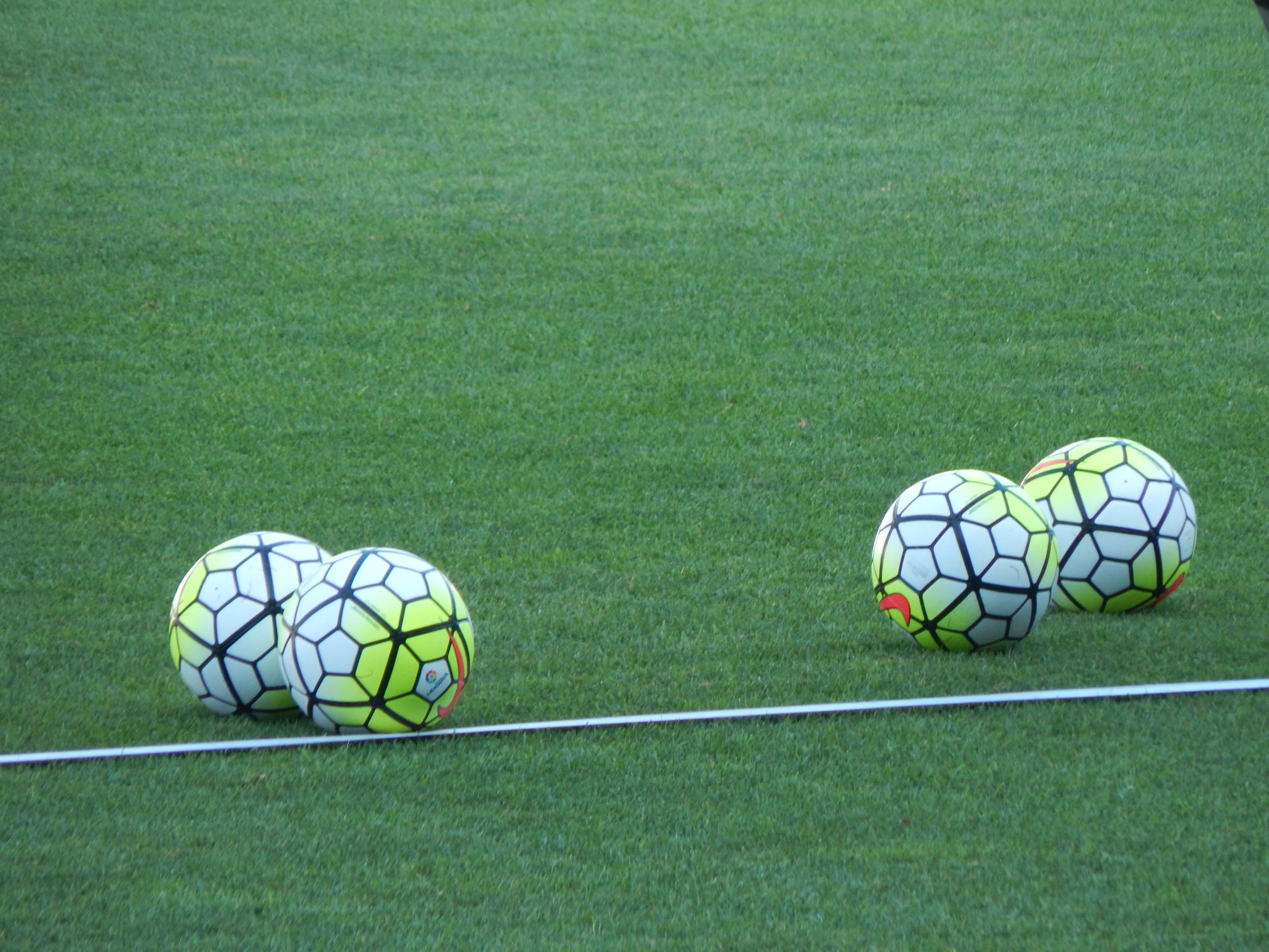 Sportwetten Wm Sportwetten Wm