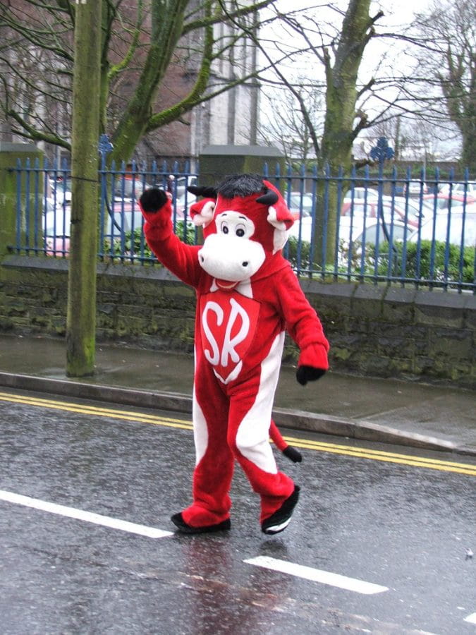 sligo_rovers_mascotte